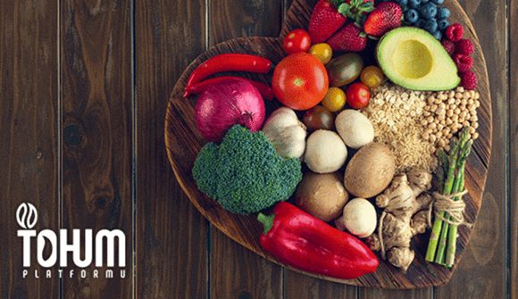 Sağlıklı Gıda – Tohum Platformu’nun “Sağlıklı Gıda ve tahıllar” ile ilgili yaptığı açıklama